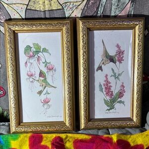 Gold Framed Hummingbird and Flower Art Prints